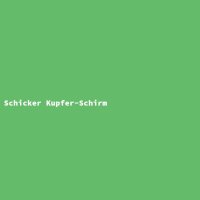 Schicker Kupfer-Schirm