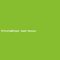 Mittelm&auml;&szlig;iges Samt-Messer